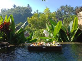 Check in the nature